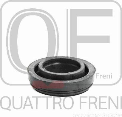Quattro Freni QF53A00004 - Уплотнительное кольцо, шахта свечи autodnr.net