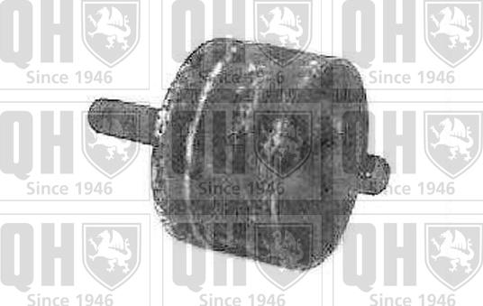 Quinton Hazell EM1701 - Подушка, підвіска двигуна autocars.com.ua