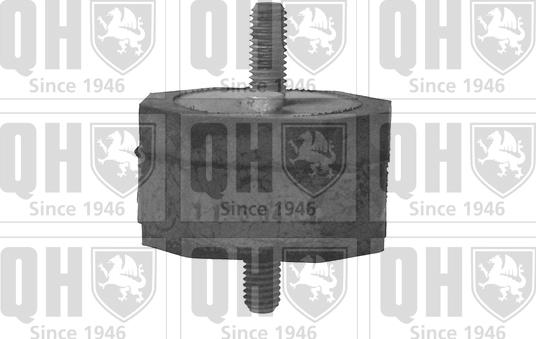 Quinton Hazell EM1721 - Подушка, підвіска двигуна autocars.com.ua