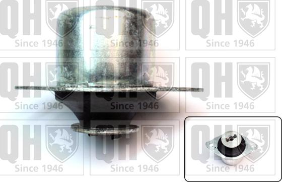 Quinton Hazell EM1829 - Подушка, підвіска двигуна autocars.com.ua
