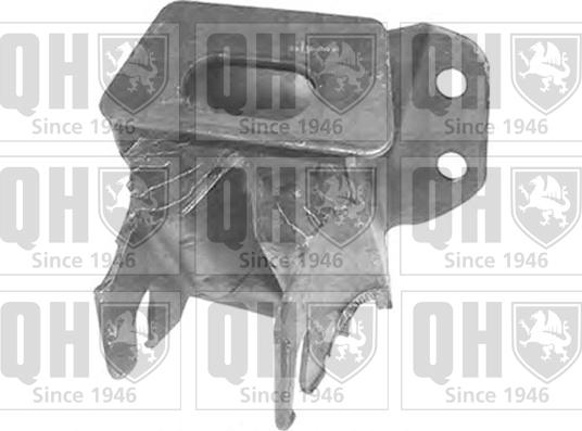 Quinton Hazell EM2050 - Подушка, підвіска двигуна autocars.com.ua