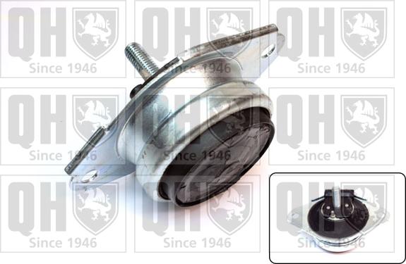 Quinton Hazell EM4163 - Подушка, підвіска двигуна autocars.com.ua