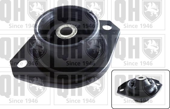 Quinton Hazell EM4214 - Подушка, підвіска двигуна autocars.com.ua