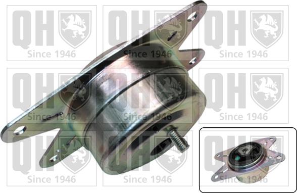 Quinton Hazell EM4446 - Подушка, підвіска двигуна autocars.com.ua