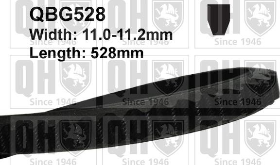 Quinton Hazell QBG528 - Клиновой ремень, поперечные рёбра avtokuzovplus.com.ua