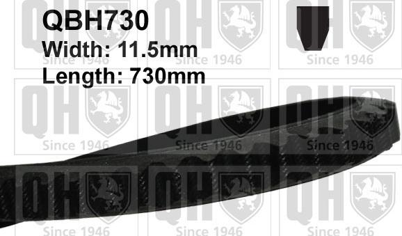 Quinton Hazell QBH730 - Клиновой ремень, поперечные рёбра avtokuzovplus.com.ua