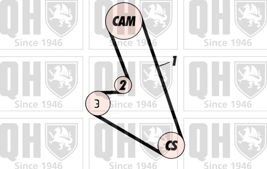 Quinton Hazell QBK359 - Комплект ремня ГРМ avtokuzovplus.com.ua