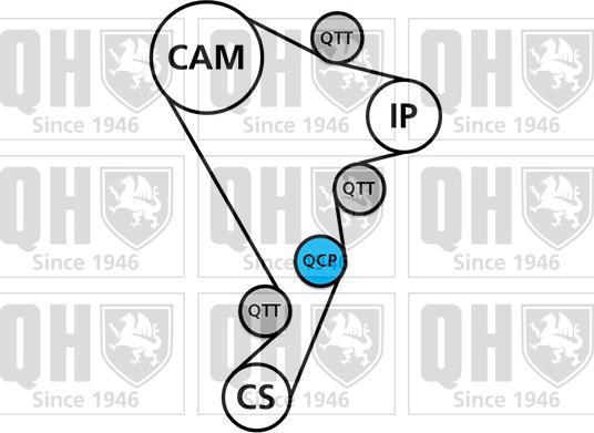 Quinton Hazell QBK800 - Комплект ременя ГРМ autocars.com.ua