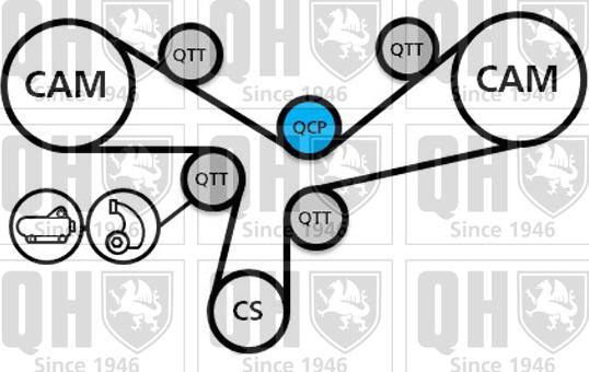 Quinton Hazell QBK811 - Комплект ременя ГРМ autocars.com.ua