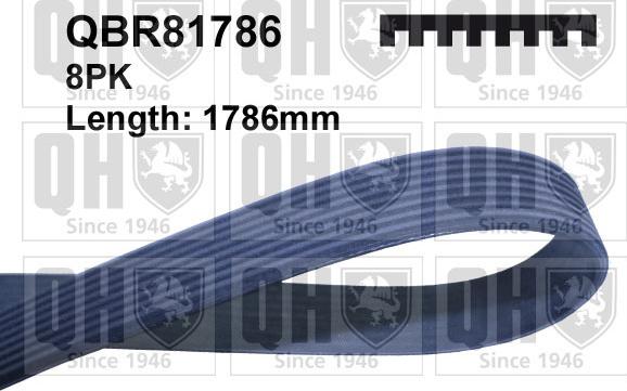 Quinton Hazell QBR81786 - Поликлиновой ремень avtokuzovplus.com.ua