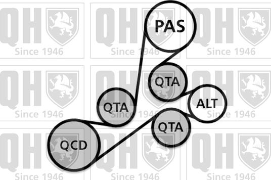 Quinton Hazell QDK105 - Поликлиновый ременный комплект avtokuzovplus.com.ua