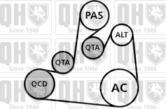 Quinton Hazell QDK106 - Поликлиновий ремінний комплект autocars.com.ua