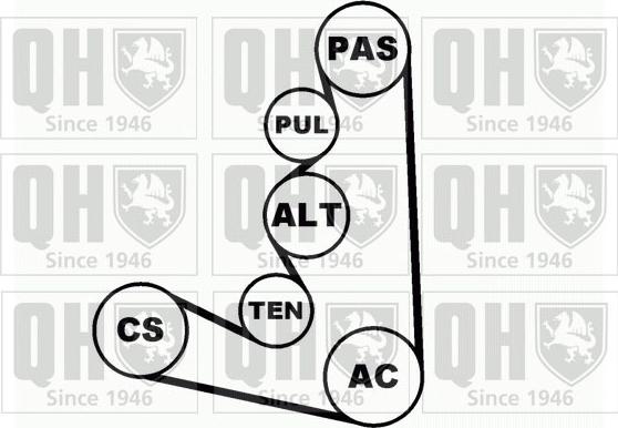 Quinton Hazell QDK10 - Поликлиновый ременный комплект avtokuzovplus.com.ua