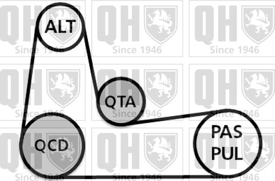 Quinton Hazell QDK116 - Поликлиновий ремінний комплект autocars.com.ua