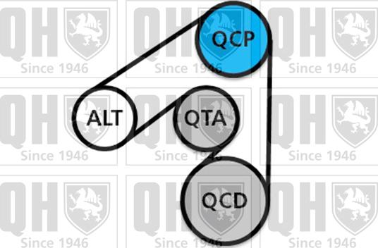 Quinton Hazell QDK125 - Поликлиновый ременный комплект autodnr.net