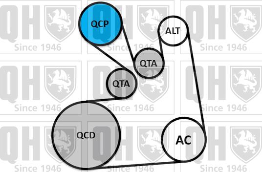 Quinton Hazell QDK128 - Поликлиновый ременный комплект avtokuzovplus.com.ua