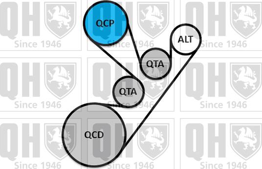 Quinton Hazell QDK129 - Поликлиновий ремінний комплект autocars.com.ua