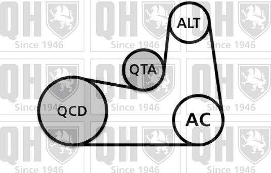 Quinton Hazell QDK132 - Поликлиновий ремінний комплект autocars.com.ua