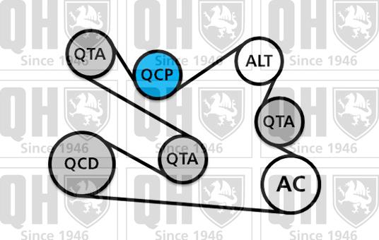 Quinton Hazell QDK136 - Поликлиновий ремінний комплект autocars.com.ua