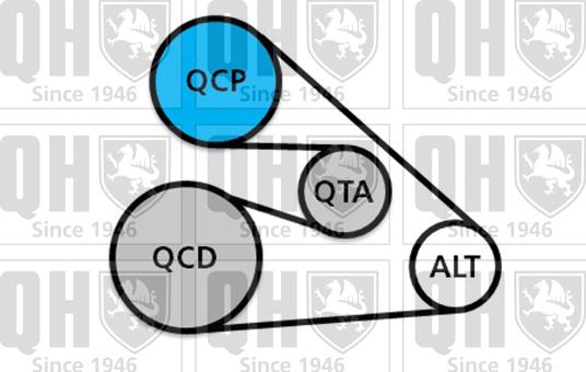 Quinton Hazell QDK144 - Поликлиновый ременный комплект autodnr.net