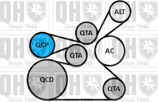 Quinton Hazell QDK148 - Поликлиновый ременный комплект avtokuzovplus.com.ua