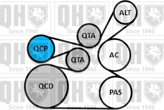 Quinton Hazell QDK149 - Поликлиновый ременный комплект avtokuzovplus.com.ua