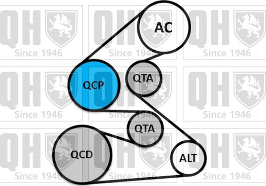 Quinton Hazell QDK152 - Поликлиновий ремінний комплект autocars.com.ua