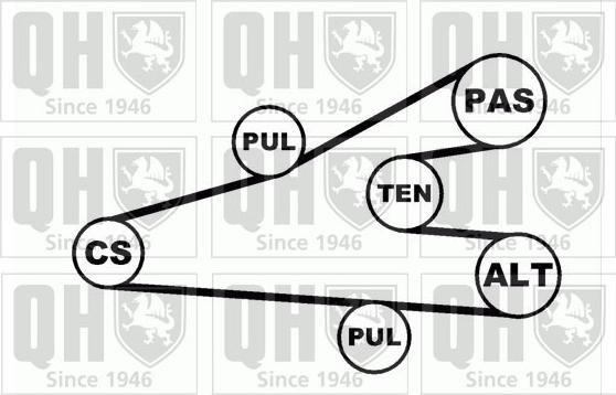 Quinton Hazell QDK15 - Поликлиновий ремінний комплект autocars.com.ua