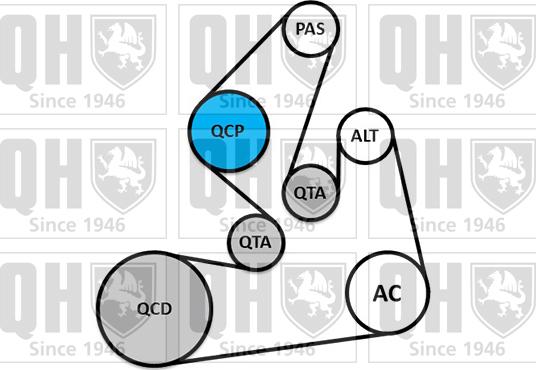 Quinton Hazell QDK165 - Поликлиновий ремінний комплект autocars.com.ua