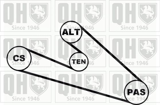 Quinton Hazell QDK19 - Поликлиновий ремінний комплект autocars.com.ua