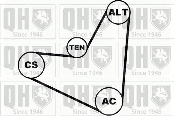 Quinton Hazell QDK21 - Поликлиновий ремінний комплект autocars.com.ua