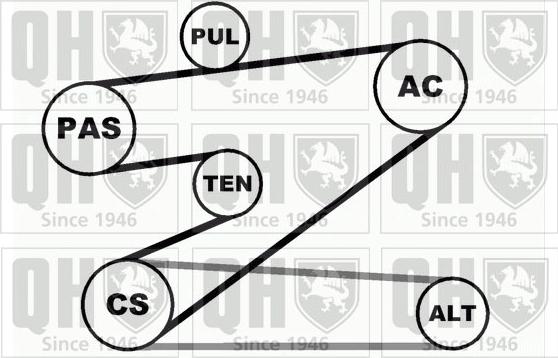 Quinton Hazell QDK30 - Поликлиновий ремінний комплект autocars.com.ua