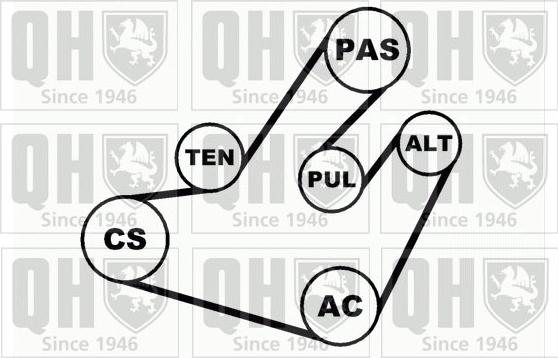 Quinton Hazell QDK32 - Поликлиновый ременный комплект autodnr.net