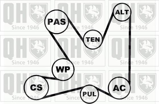Quinton Hazell QDK32 - Поликлиновий ремінний комплект autocars.com.ua