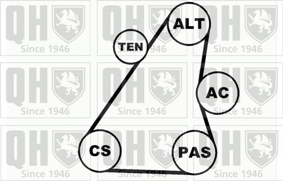 Quinton Hazell QDK36 - Поликлиновий ремінний комплект autocars.com.ua