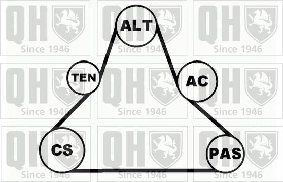Quinton Hazell QDK36 - Поликлиновий ремінний комплект autocars.com.ua