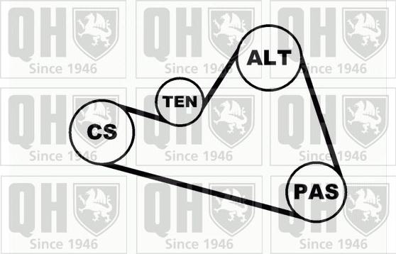 Quinton Hazell QDK39 - Поликлиновый ременный комплект autodnr.net