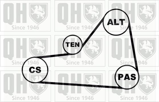 Quinton Hazell QDK39 - Поликлиновый ременный комплект autodnr.net