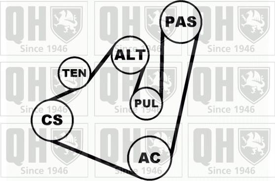 Quinton Hazell QDK42 - Поликлиновый ременный комплект autodnr.net