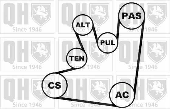 Quinton Hazell QDK42 - Поликлиновый ременный комплект autodnr.net