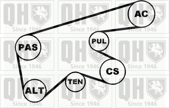 Quinton Hazell QDK62 - Поликлиновий ремінний комплект autocars.com.ua