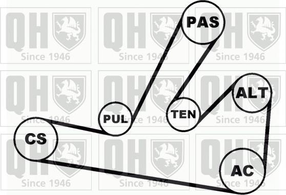 Quinton Hazell QDK65 - Поликлиновый ременный комплект avtokuzovplus.com.ua