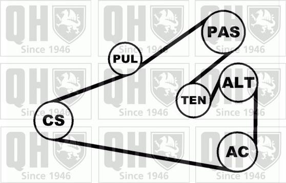 Quinton Hazell QDK65 - Поликлиновый ременный комплект avtokuzovplus.com.ua