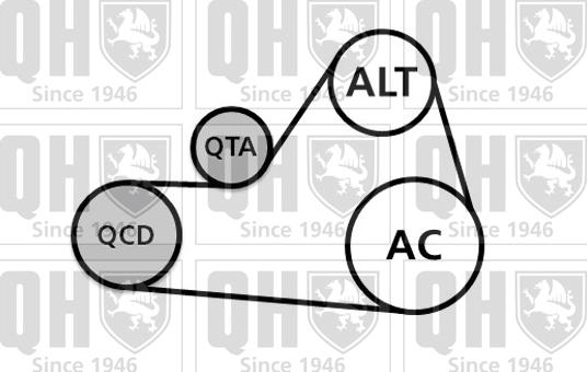 Quinton Hazell QDK87 - Поликлиновий ремінний комплект autocars.com.ua