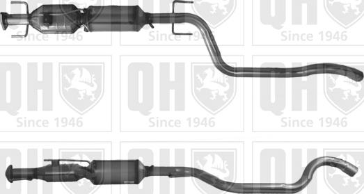 Quinton Hazell QDPF11028H - сажі / частковий фільтр, система вихлопу ОГ autocars.com.ua
