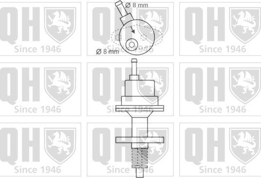 Quinton Hazell QFP153 - Паливний насос autocars.com.ua