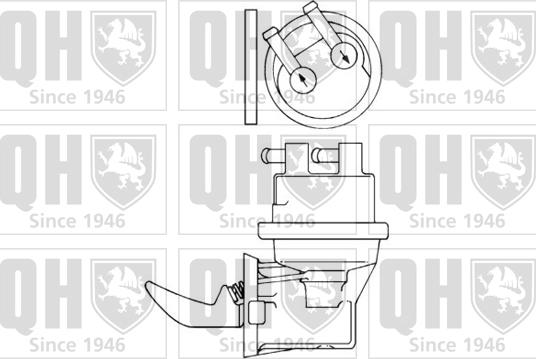 Quinton Hazell QFP301 - Паливний насос autocars.com.ua