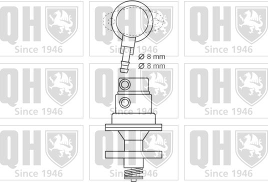 Quinton Hazell QFP530 - Паливний насос autocars.com.ua