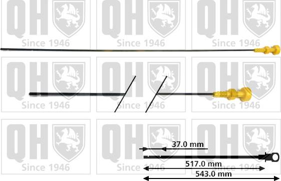 Quinton Hazell QOD111 - Покажчик рівня масла autocars.com.ua