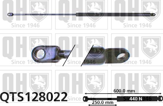 Quinton Hazell QTS128022 - Газова пружина, кришка багажник autocars.com.ua